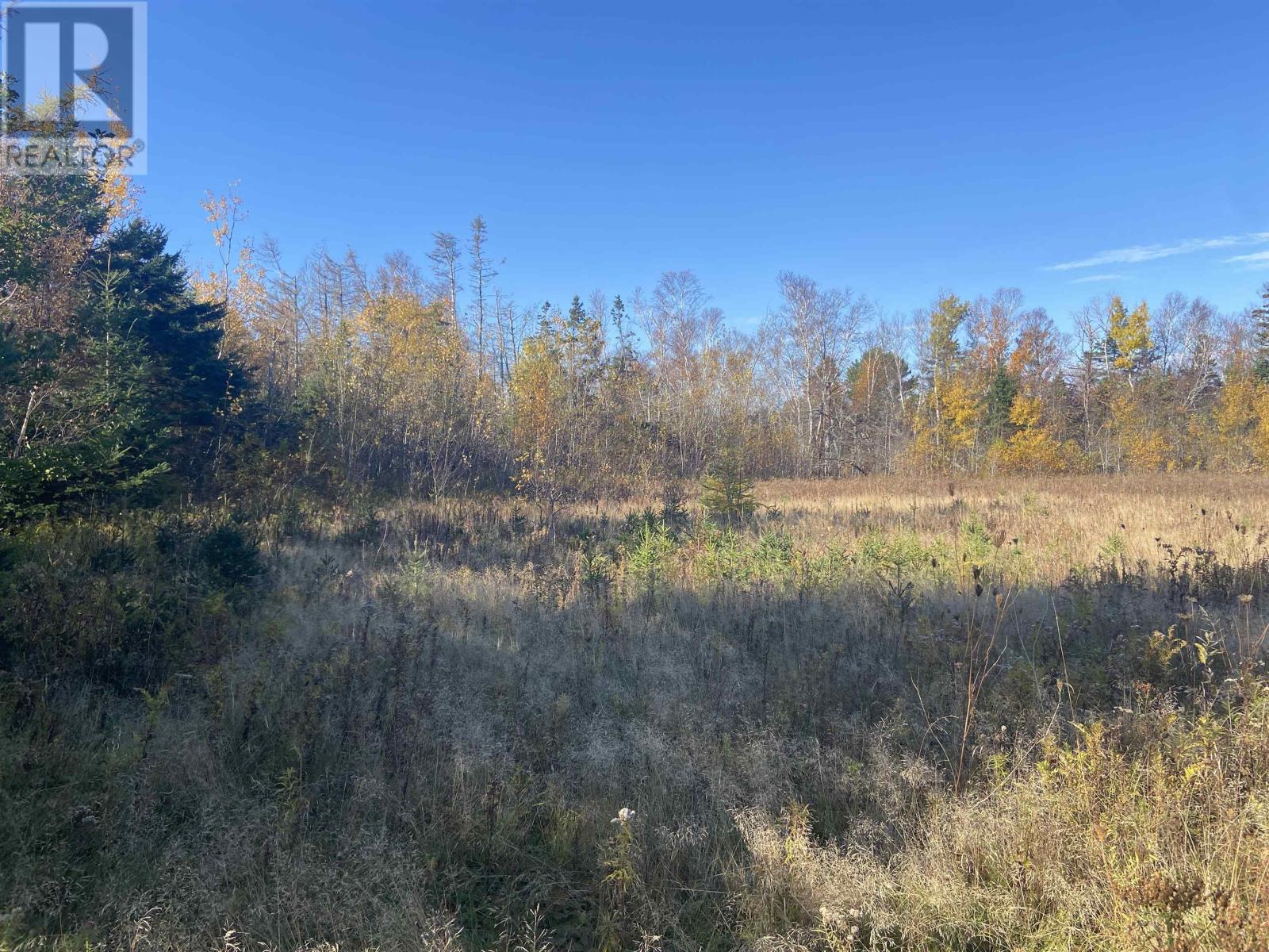 Acreage Route 17 Property Photo 1