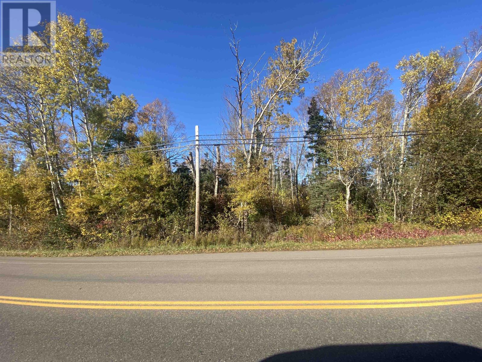 Acreage Route 17 Property Photo 5