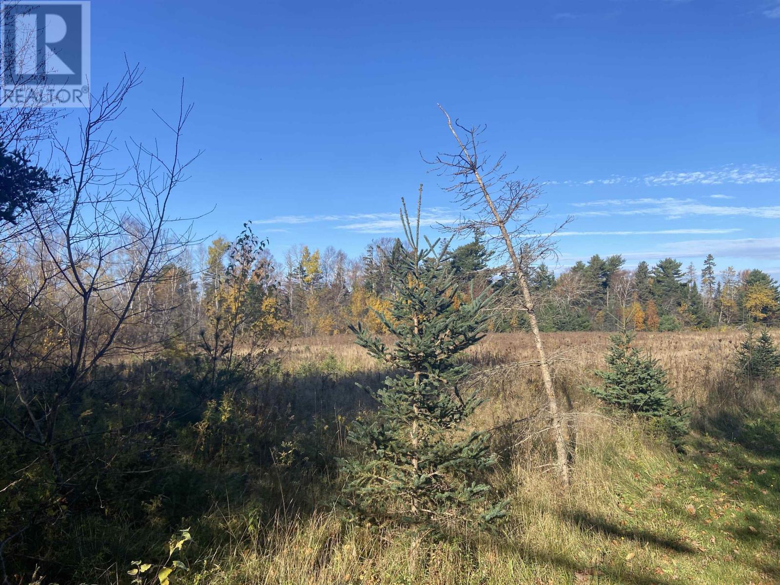 Acreage Route 17 Property Photo 6