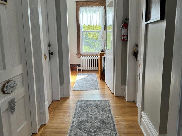 20z Rue Bellevue Property Photo 15