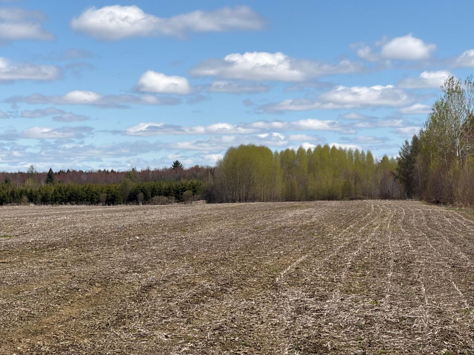Boul. Du Parc-industriel Property Photo 2