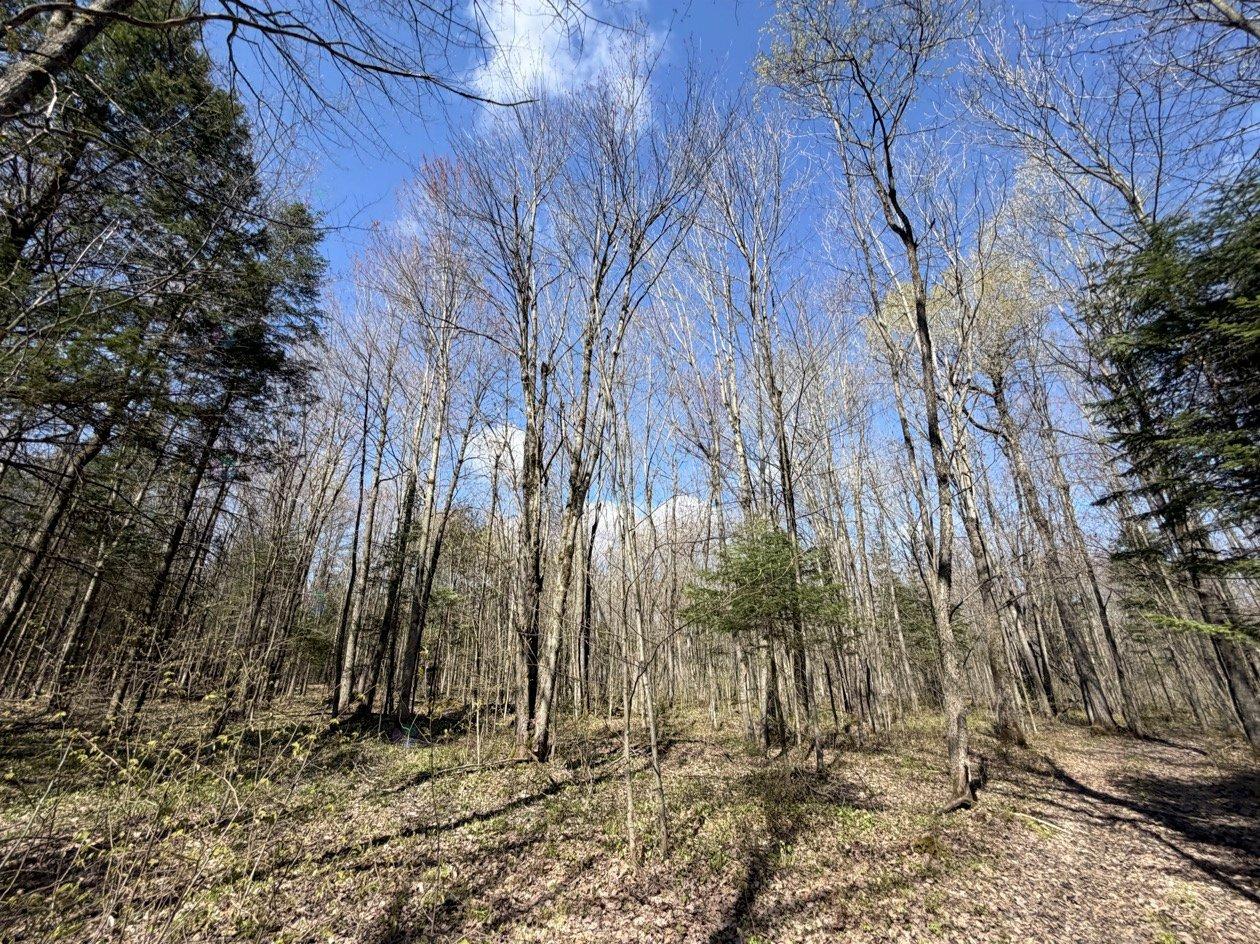 Boul. Du Parc-industriel Property Photo 4