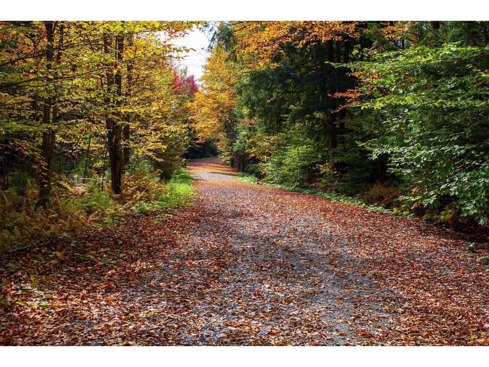Ch. Jean-charles-labranche Property Photo 8