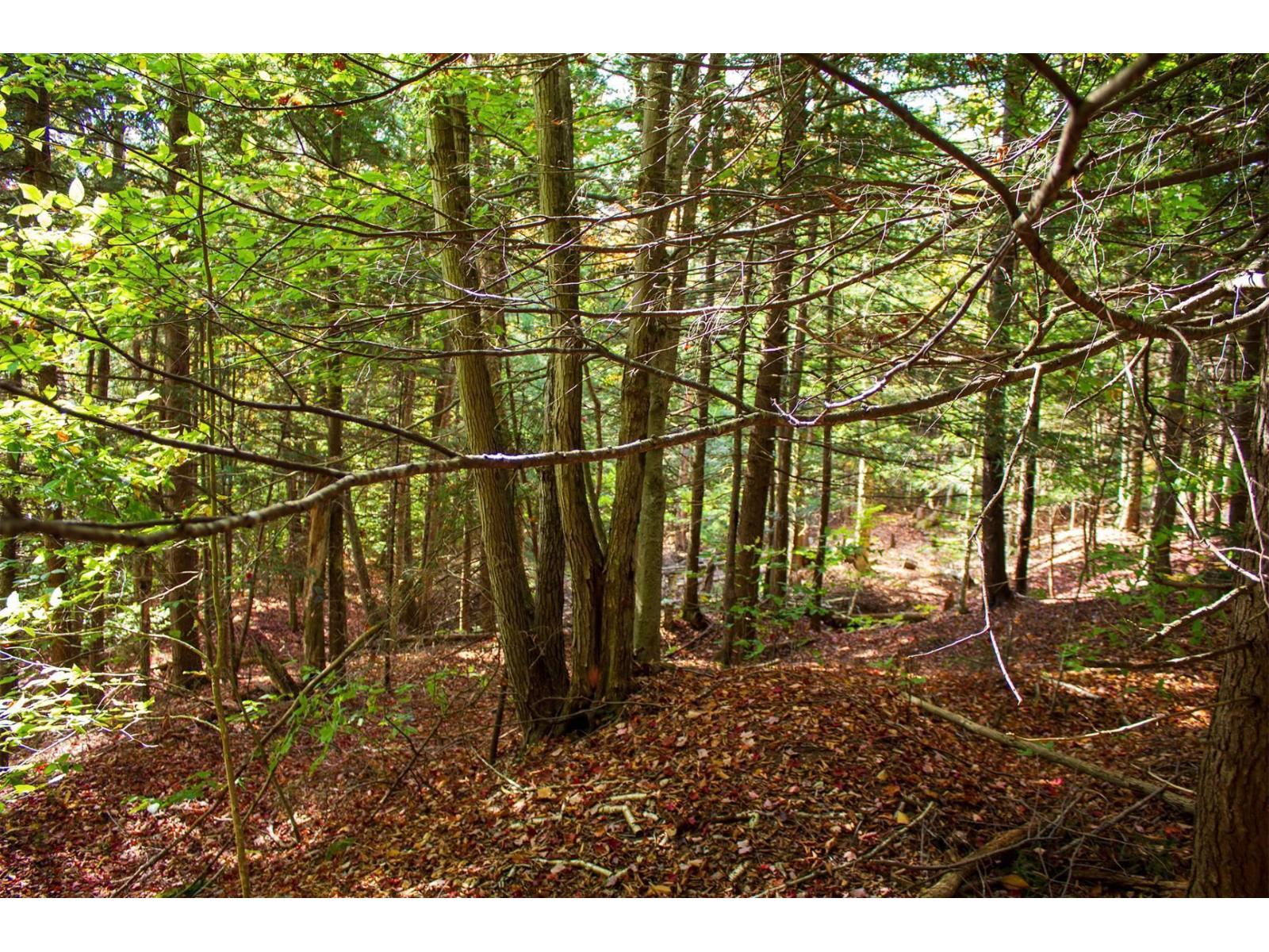 Ch. Jean-charles-labranche Property Photo 10