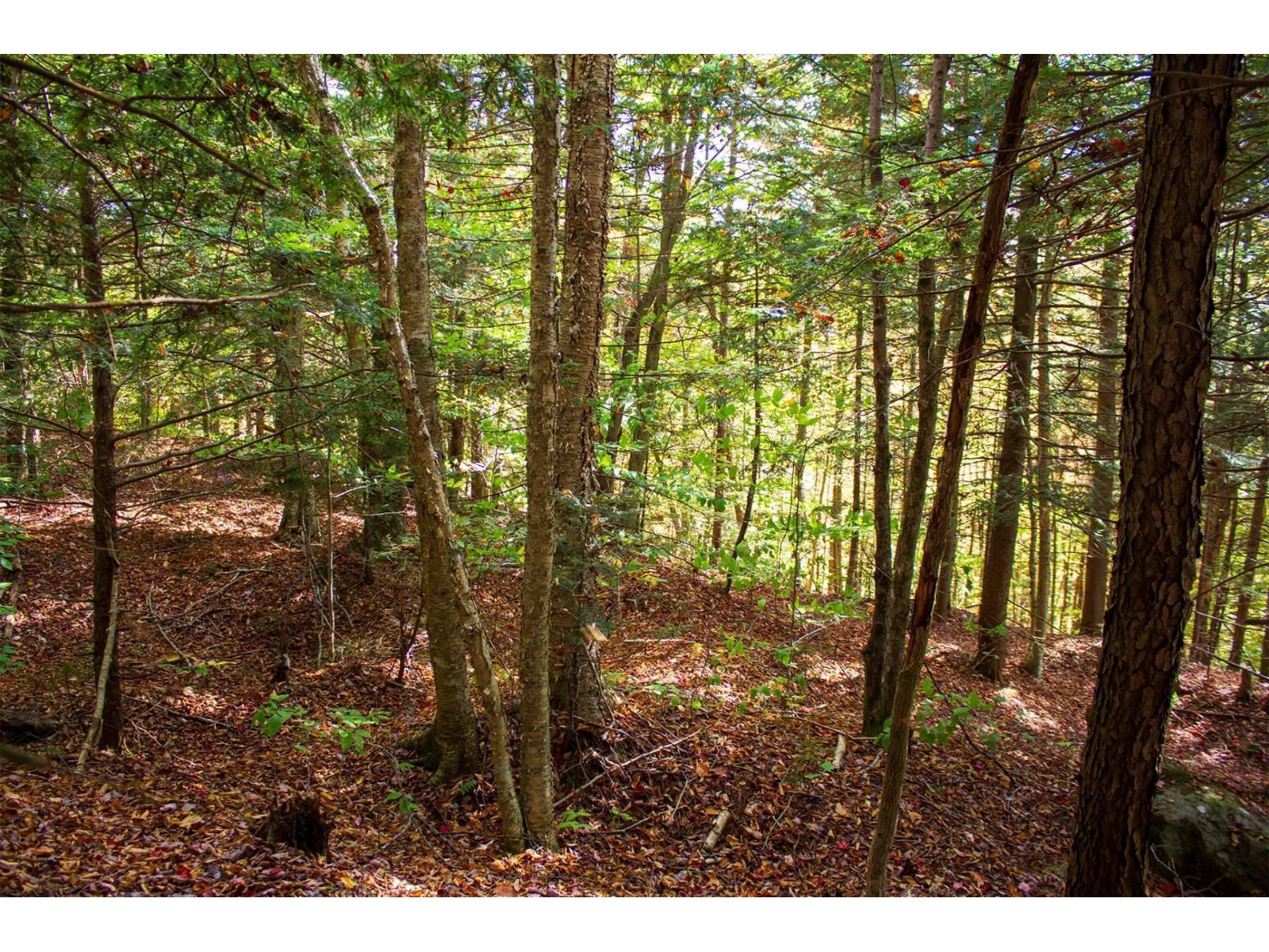 Ch. Jean-charles-labranche Property Photo 12