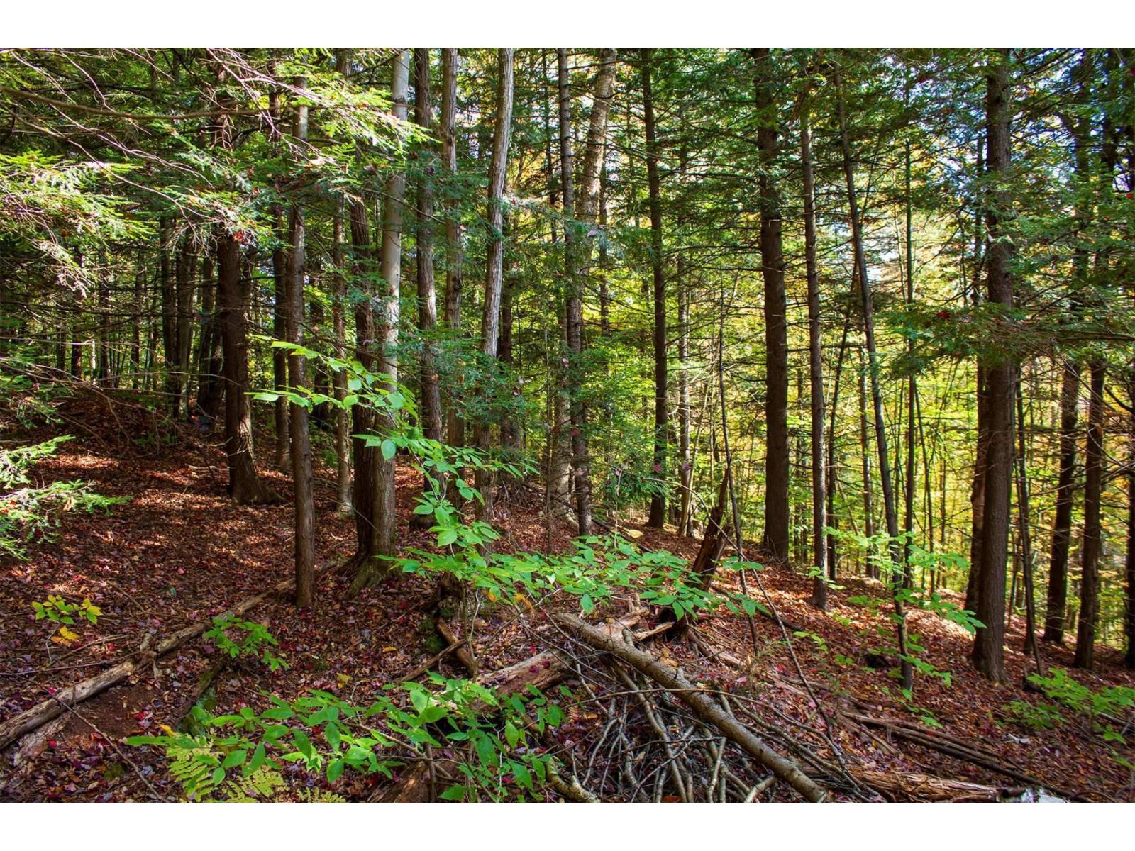 Ch. Jean-charles-labranche Property Photo 28