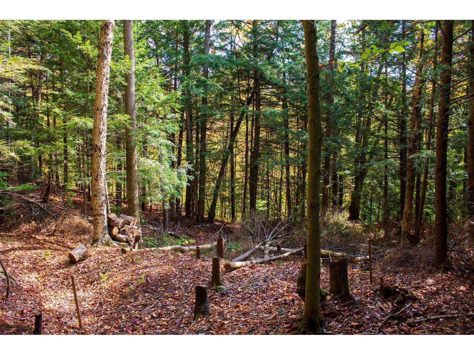 Ch. Jean-charles-labranche Property Photo 29