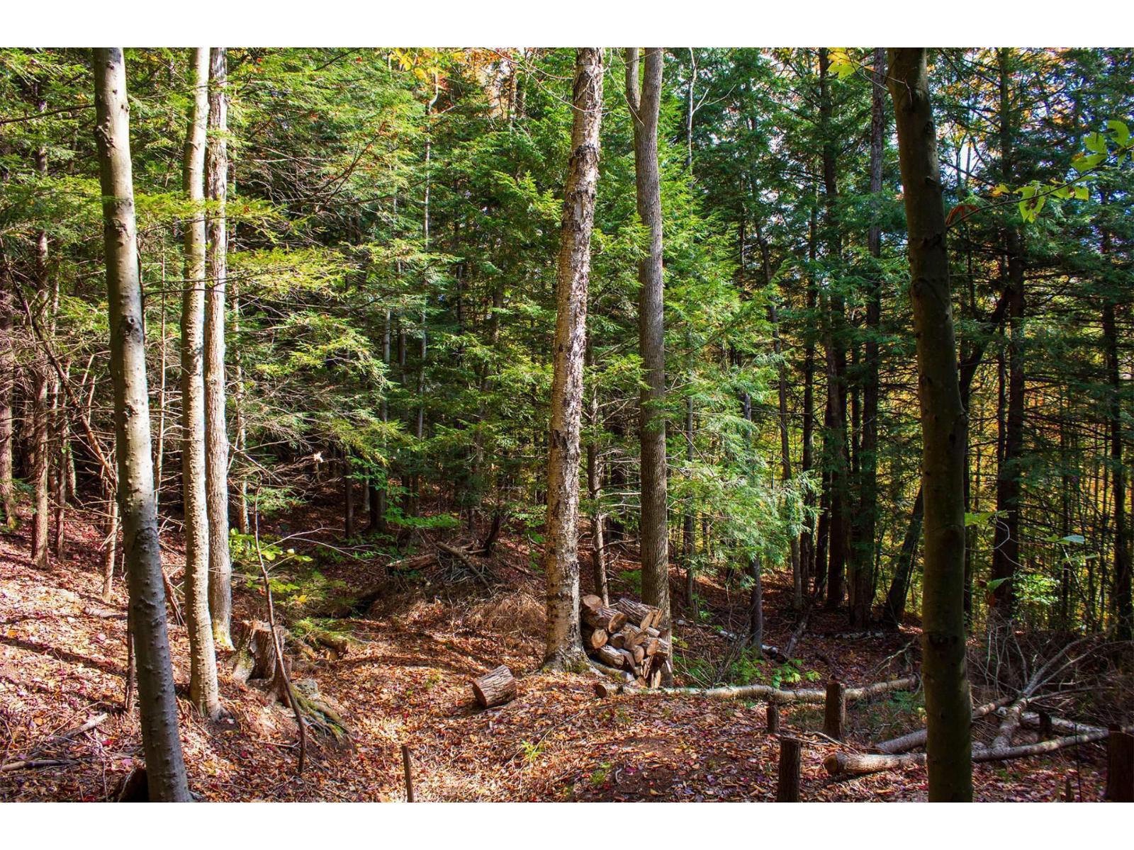 Ch. Jean-charles-labranche Property Photo 30