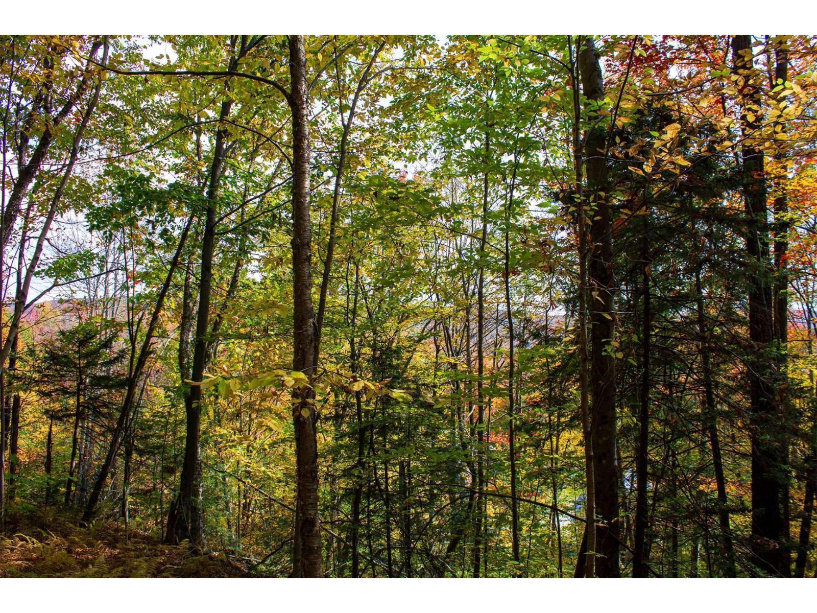 Ch. Jean-charles-labranche Property Photo 32