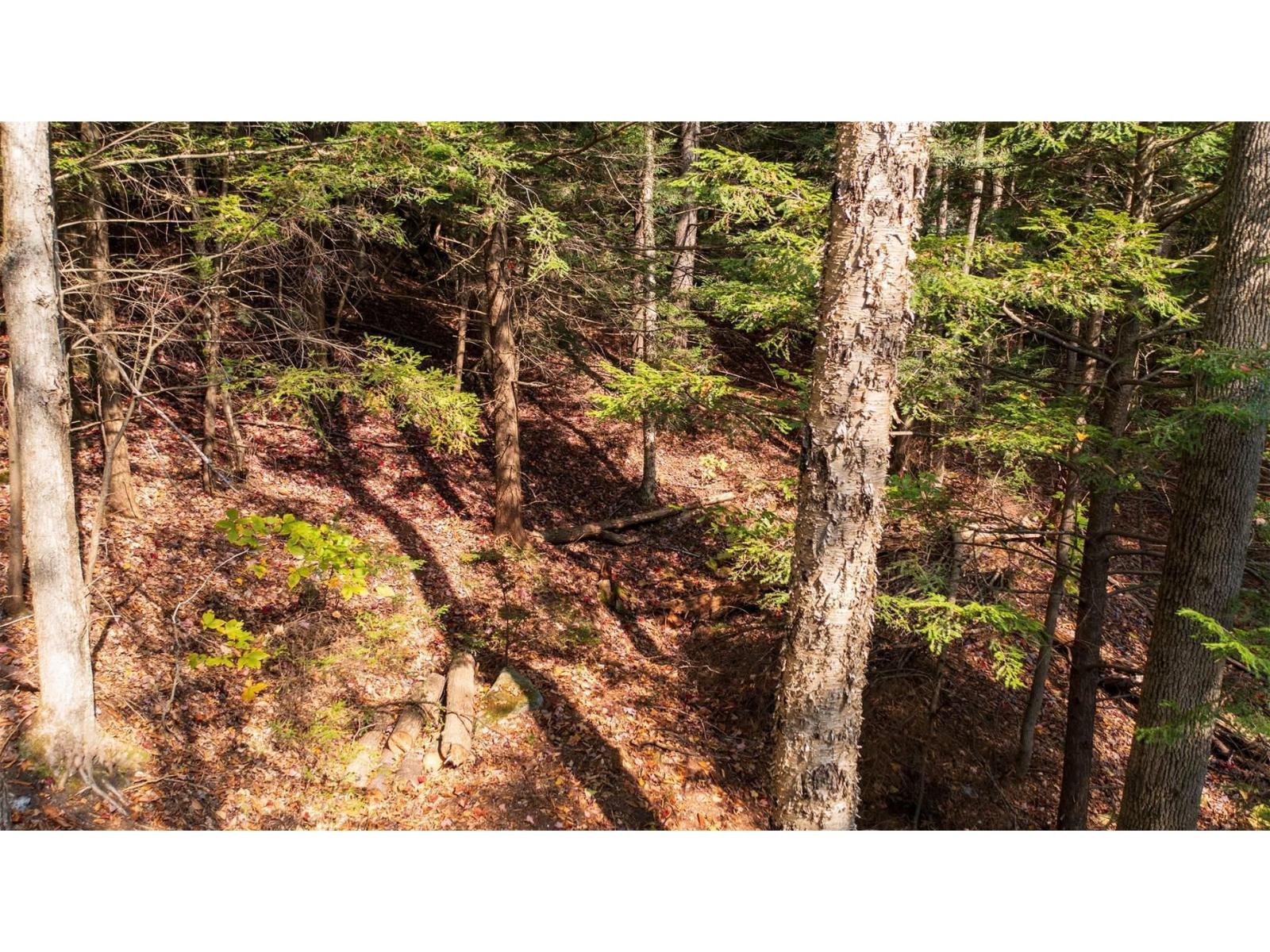 Ch. Jean-charles-labranche Property Photo 33