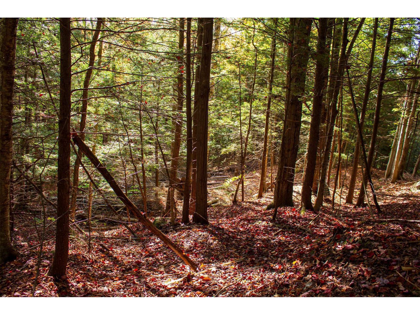 Ch. Jean-charles-labranche Property Photo 34