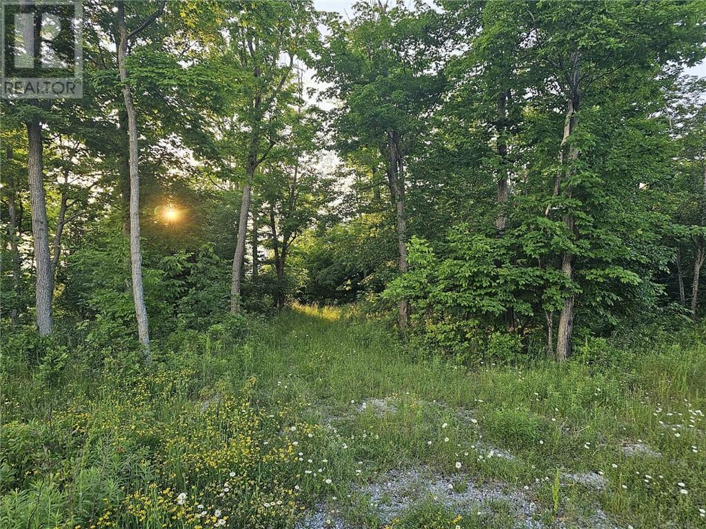 Lot 4 Green Bay Shores Property Photo 14