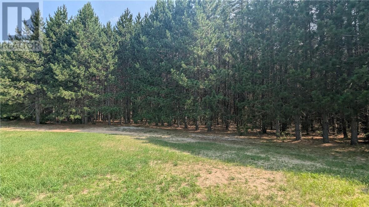 255a Burns Crossover Road Property Photo 22