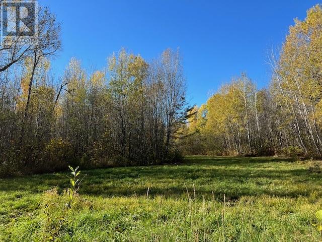 421 Casimir Road Property Photo 26