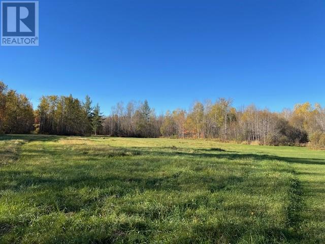 421 Casimir Road Property Photo 27