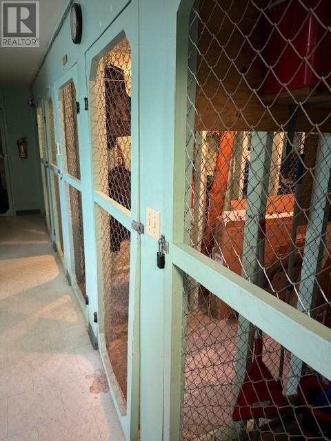 246 Cambridge Avenue Property Photo 24