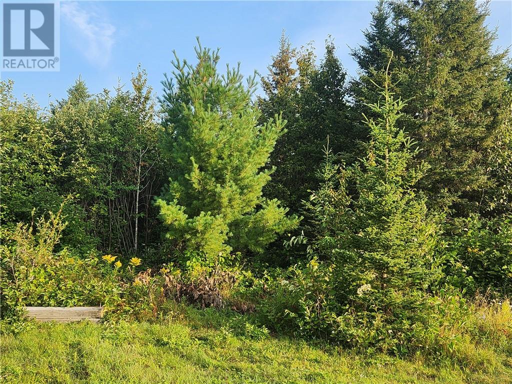 1818 Vermillion Lake Road Property Photo 2