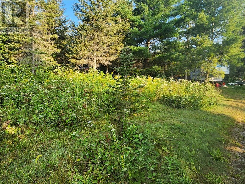 1818 Vermillion Lake Road Property Photo 4