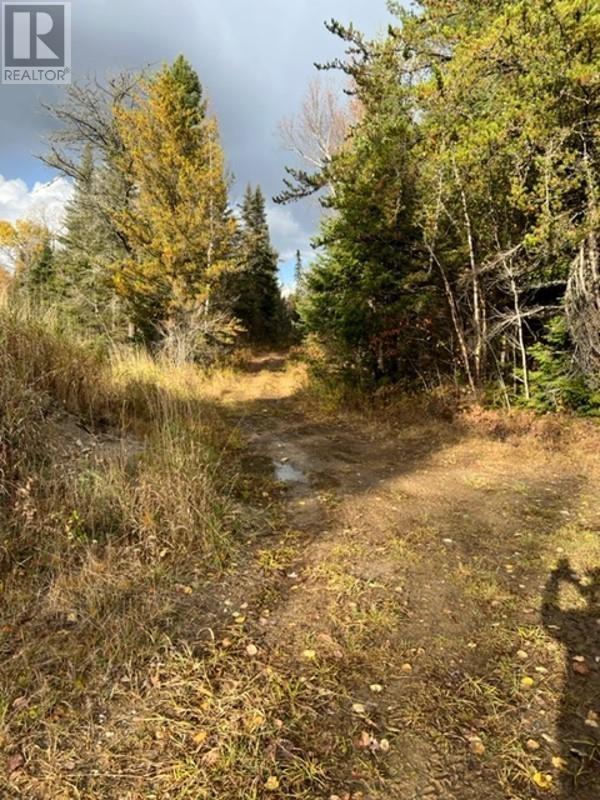 131 Highway 575 Property Photo 13