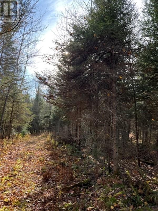 131 Highway 575 Property Photo 17