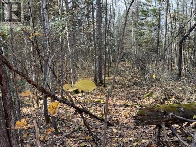 131 Highway 575 Property Photo 18