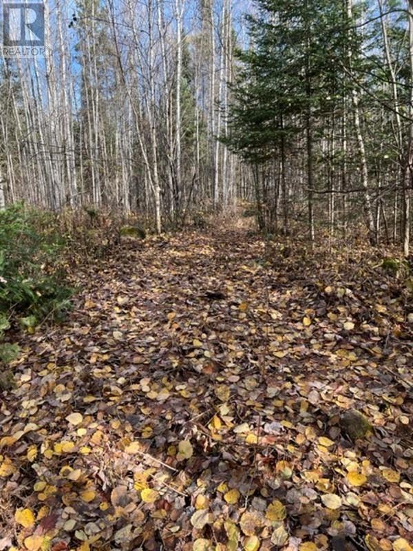 131 Highway 575 Property Photo 19