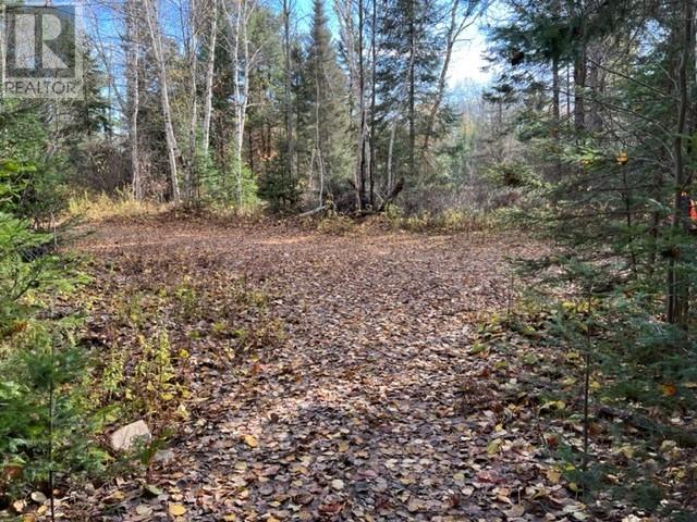 131 Highway 575 Property Photo 21