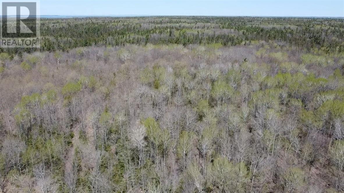 17219 Highway 540 Property Photo 3