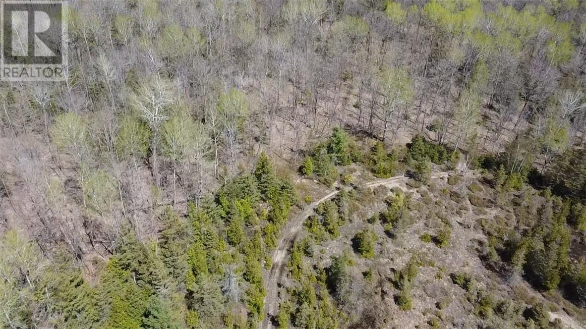 17219 Highway 540 Property Photo 6