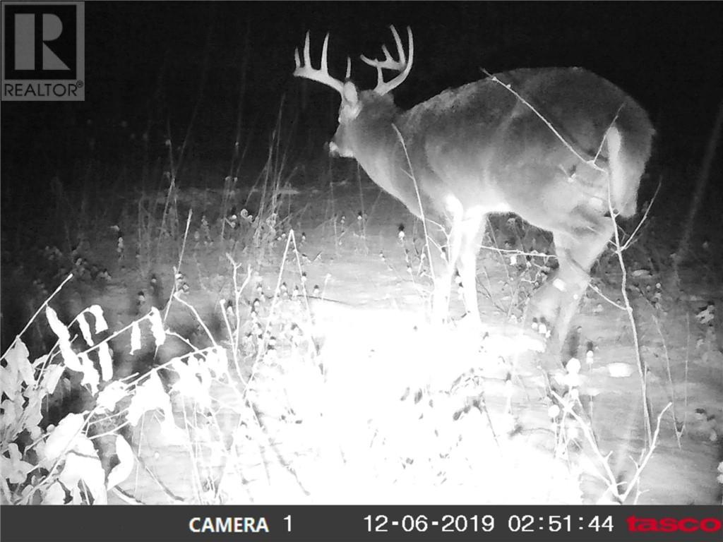 332 Field's Road Property Photo 6