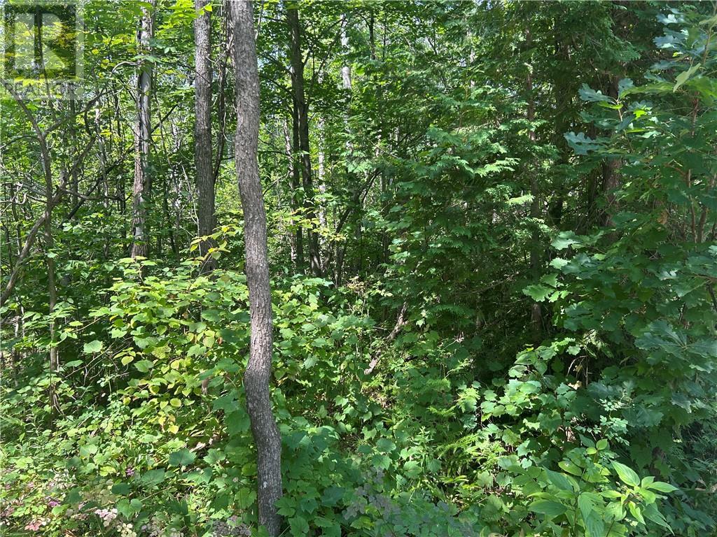 N/a Sydenham Street Property Photo 5