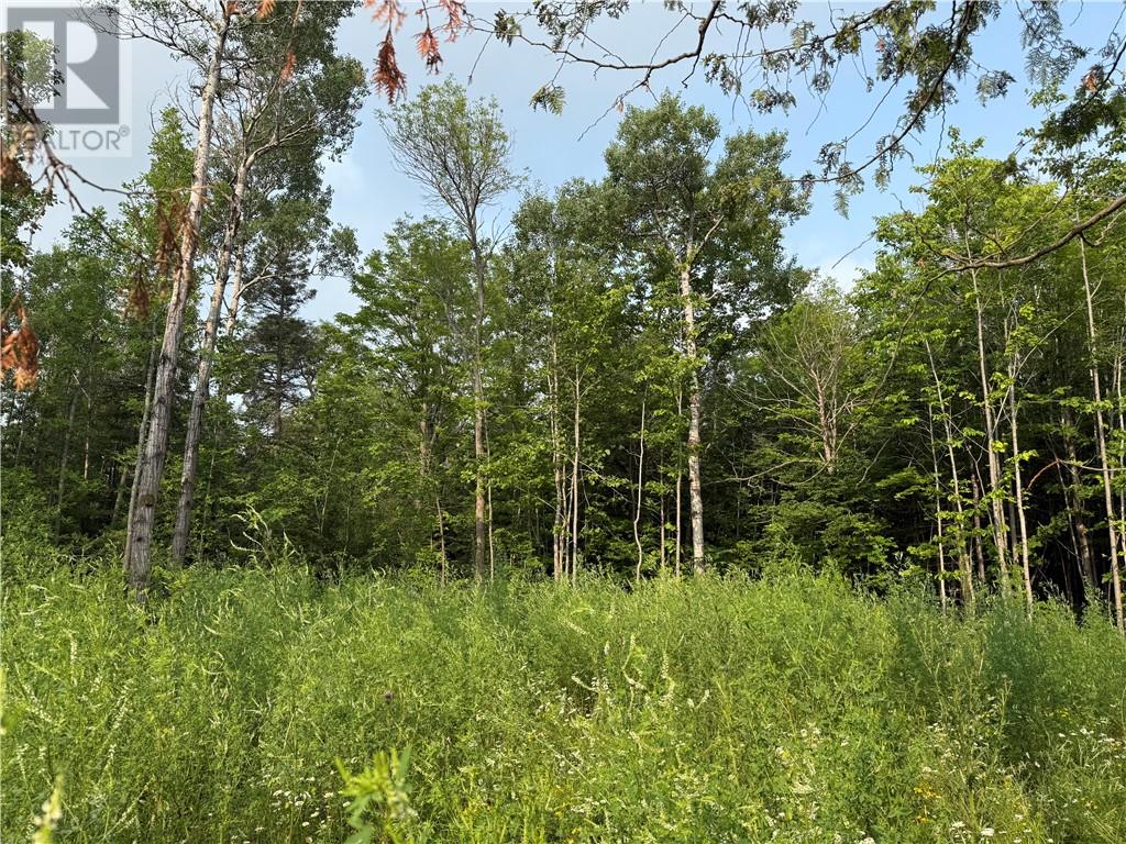 Lot 20 High Falls Road Property Photo 1