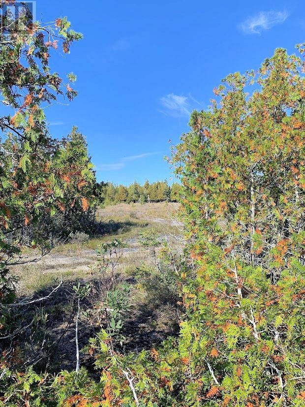 356 Cedar Tree Trail Property Photo 7