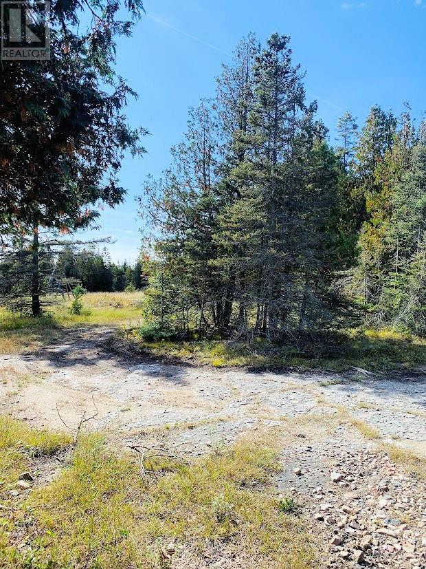 356 Cedar Tree Trail Property Photo 12