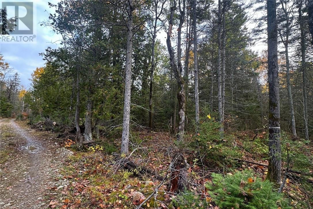 PT LT 16 Con 4 Green Bush Road Property Photo 1