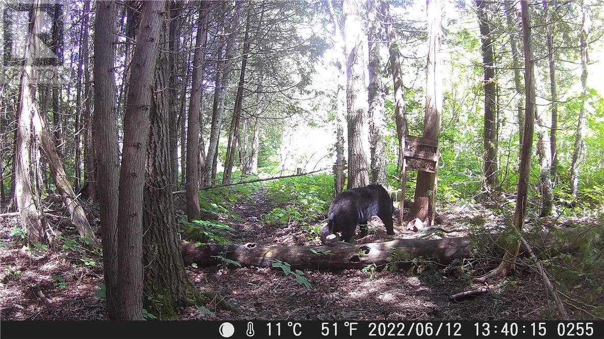 Lot 0 Whitewater Property Photo 16