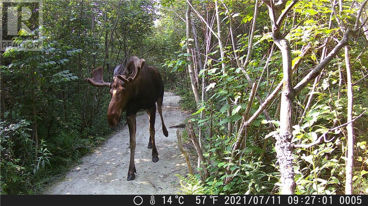 Lot 0 Whitewater Property Photo 43