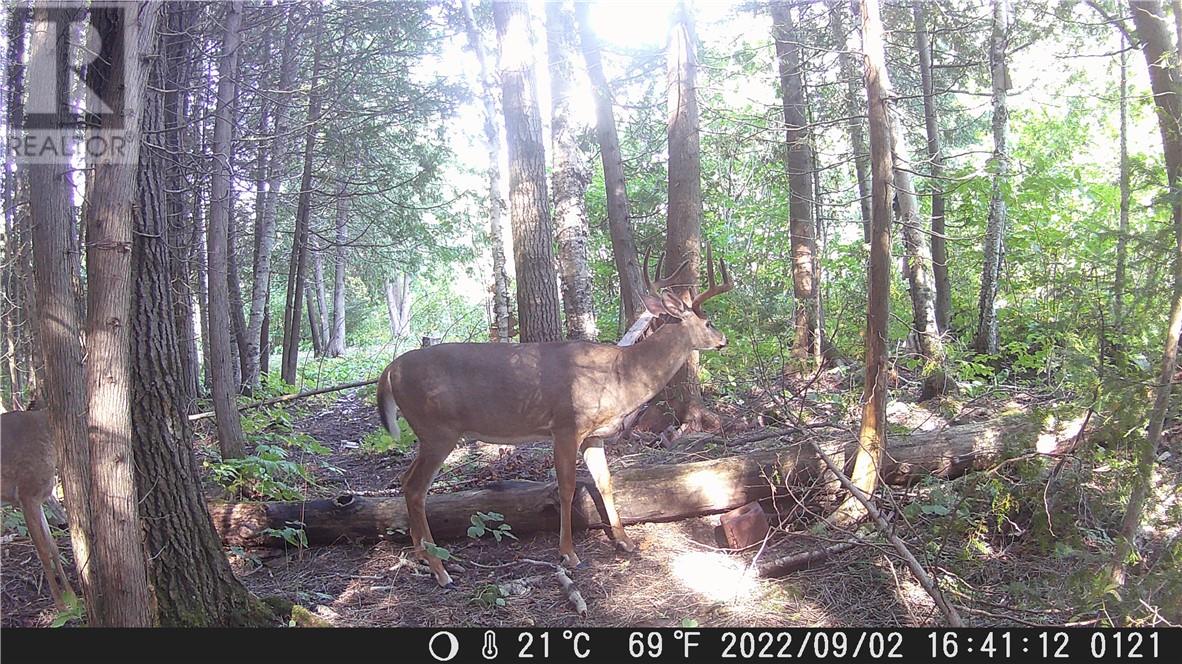 Lot 0 Whitewater Property Photo 44