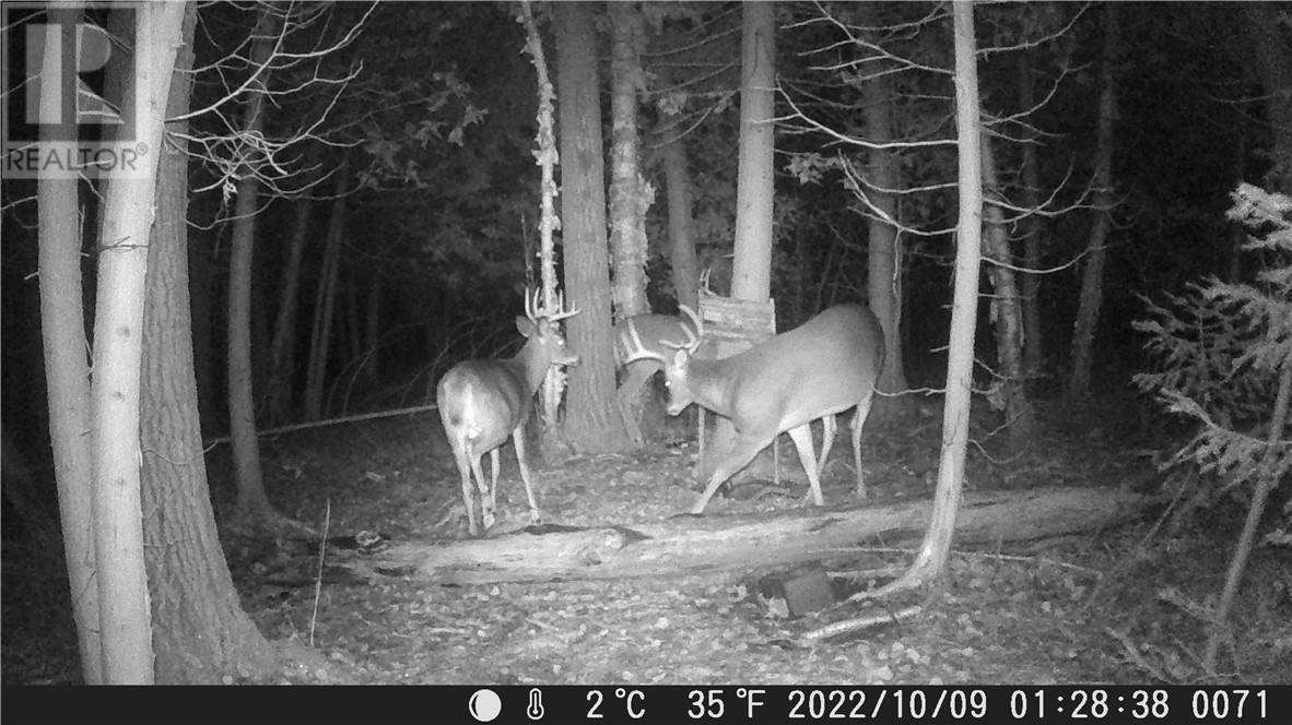 Lot 0 Whitewater Property Photo 45