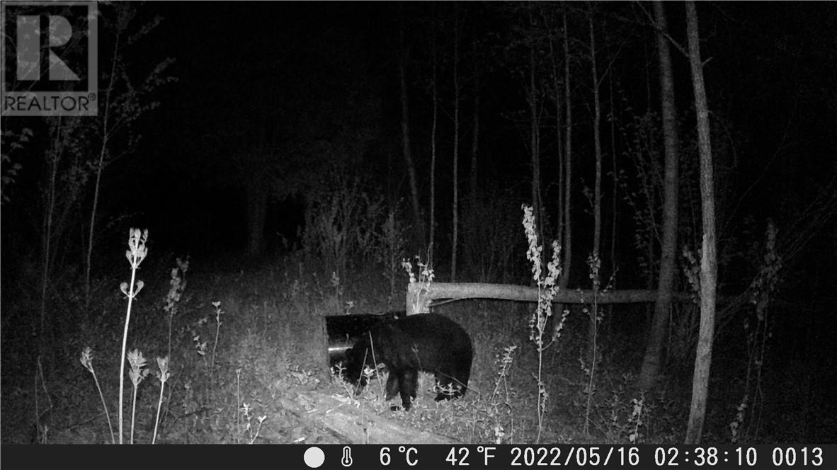 Lot 0 Whitewater Property Photo 46
