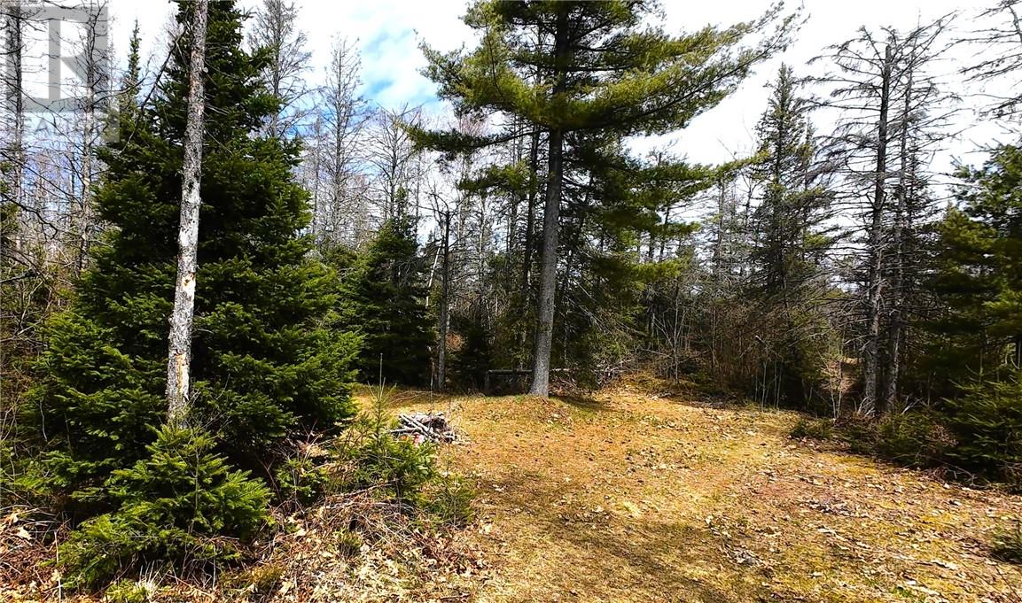 18 Mary Jane Street Property Photo 2