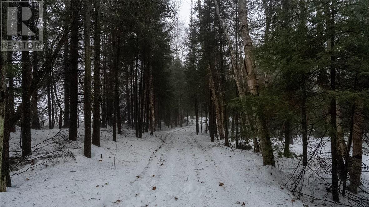 Pt 3 Norland Property Photo 12