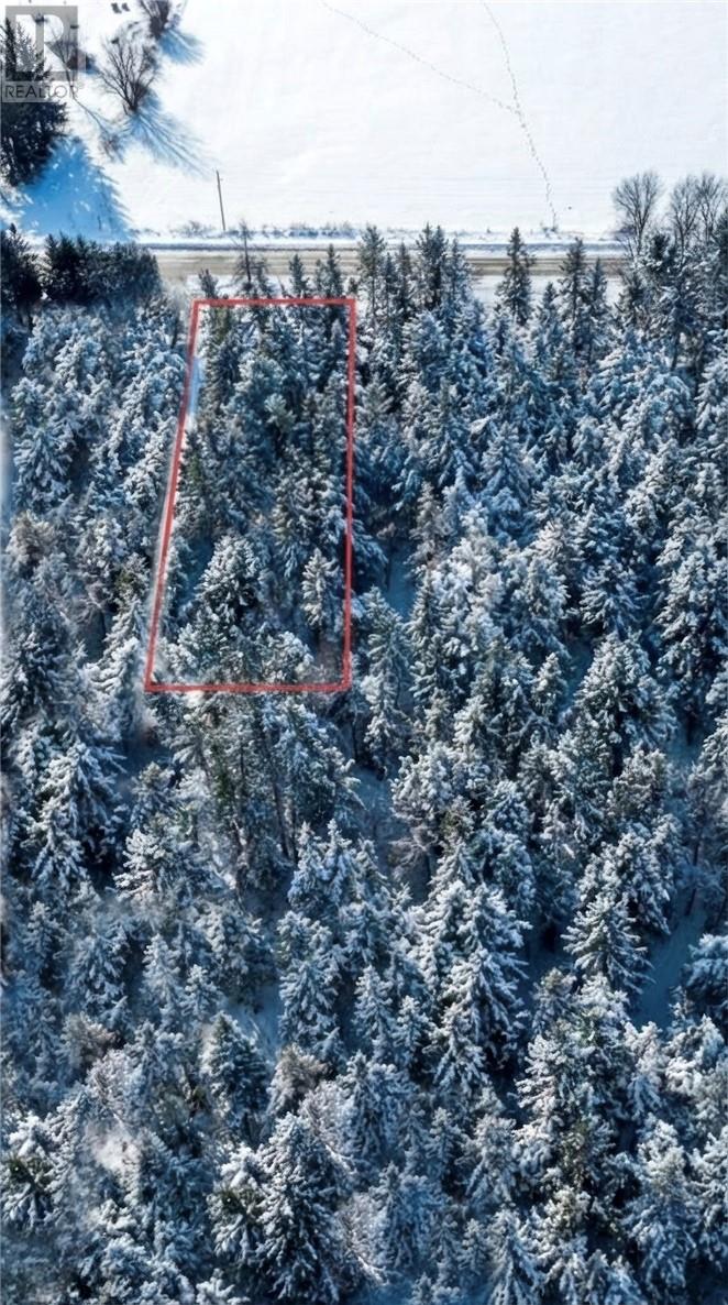Pt 3 Norland Property Photo 24
