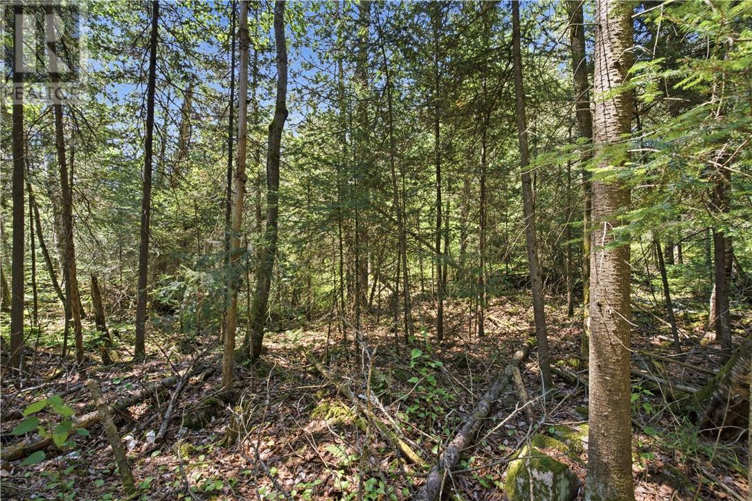 Pt 4 Norland Property Photo 4