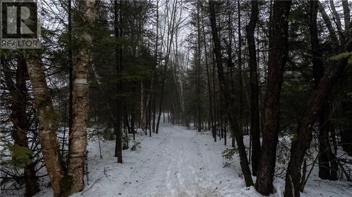 Pt 4 Norland Property Photo 20