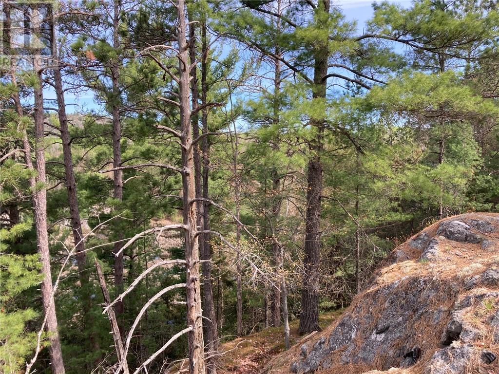 00 Faraway Property Photo 3