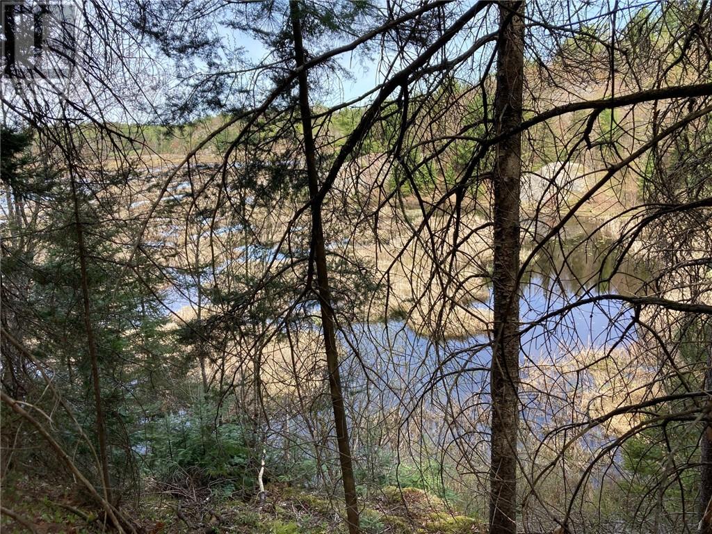 00 Faraway Property Photo 4