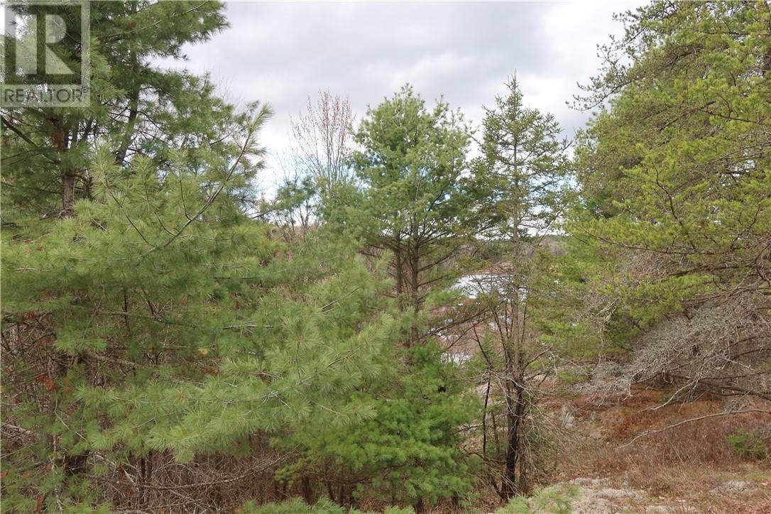 00 Faraway Property Photo 8