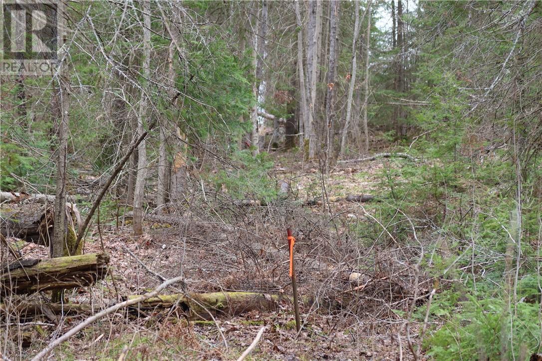 00 Faraway Property Photo 9