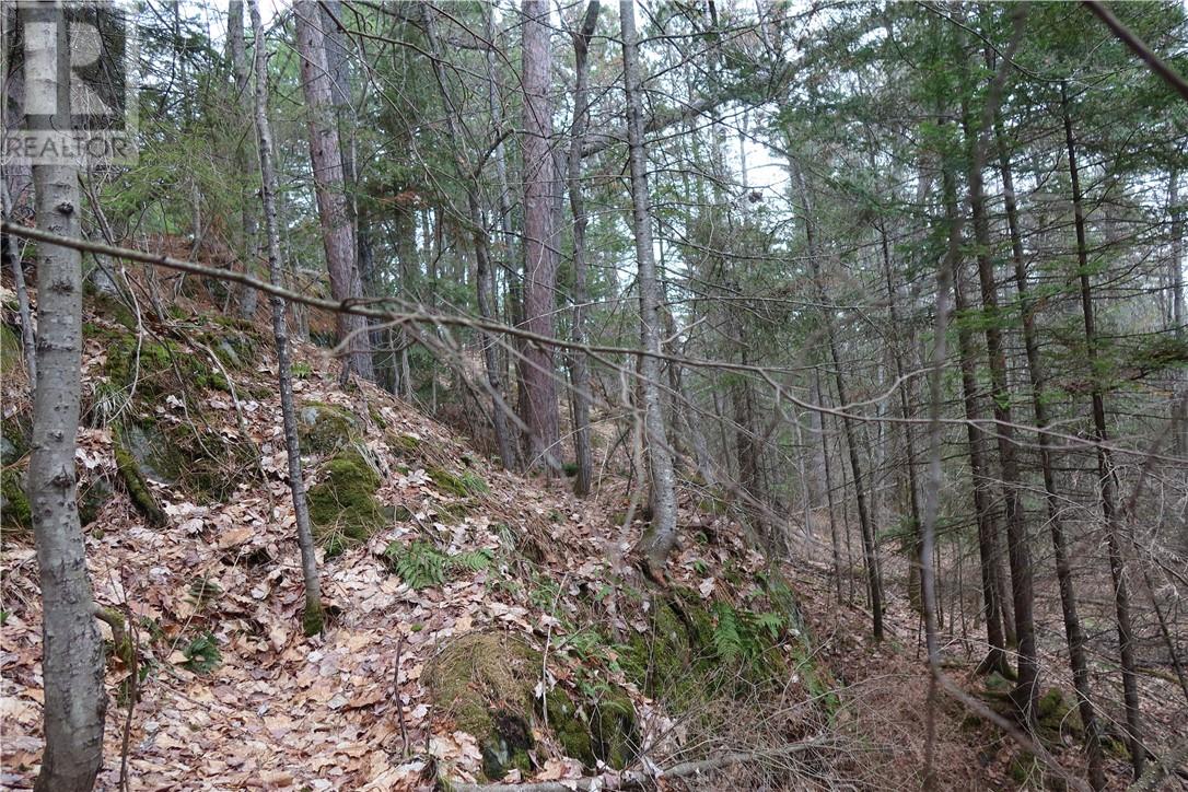 00 Faraway Property Photo 10